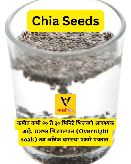 Chia Seeds in marathi