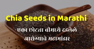 Chia Seeds in marathi